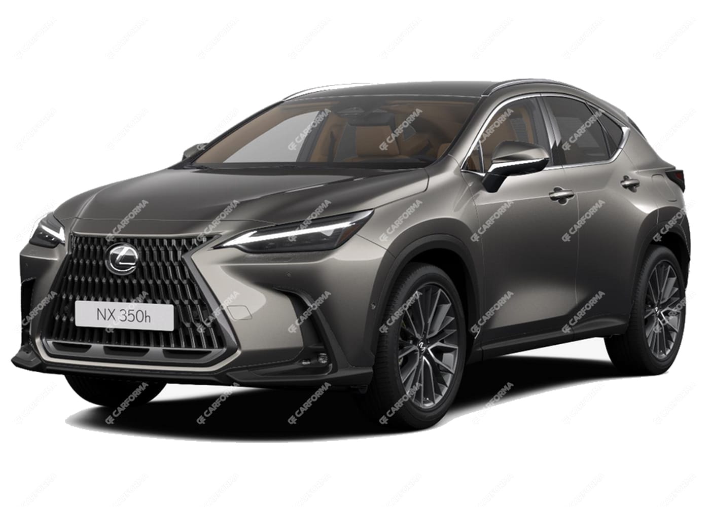 Ворсовые коврики на Lexus NX II 2021 - 2025