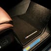 Коврики на BMW X5 (G05/G18) 2018 - 2025 в Перми