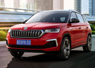 Ворсовые коврики на Skoda Kamiq 2018 - 2025 в Перми