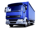 EVA коврики на DAF LF 2001 - 2025 в Перми