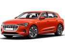 Коврики на Audi Q8 e-tron 2022 - 2025 в Перми