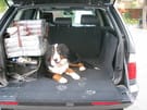 Коврики на BMW X5 (E53) 1999 - 2006 в Перми